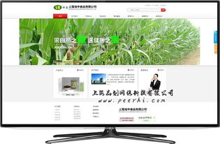 松江网站建设与山西网站发展 行业对比与专业服务解析